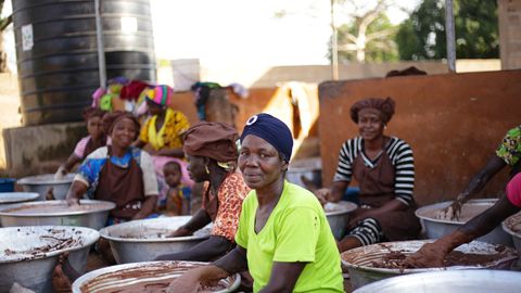Women’s Crop (Shea & Baobab) Window End of Project Report