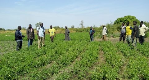 Northern Rural Growth Project